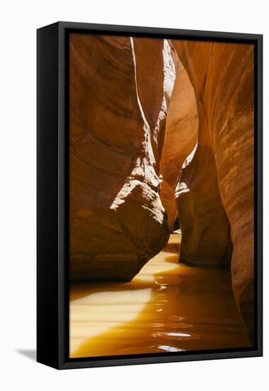 Slot Canyon at Lake Powell NRA, Utah-Zandria Muench Beraldo-Framed Premier Image Canvas