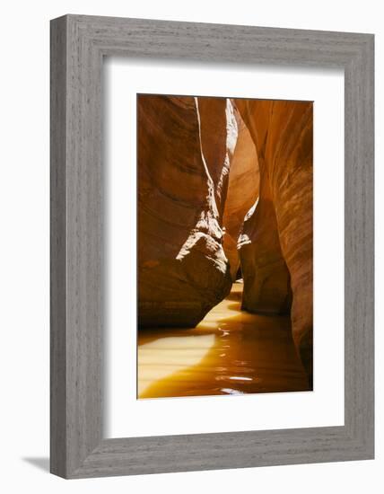 Slot Canyon at Lake Powell NRA, Utah-Zandria Muench Beraldo-Framed Photographic Print