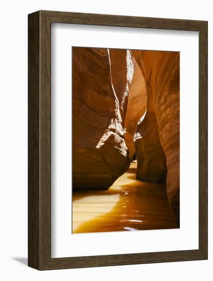 Slot Canyon at Lake Powell NRA, Utah-Zandria Muench Beraldo-Framed Photographic Print