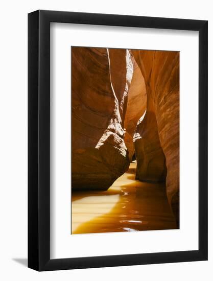 Slot Canyon at Lake Powell NRA, Utah-Zandria Muench Beraldo-Framed Photographic Print
