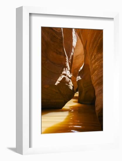 Slot Canyon at Lake Powell NRA, Utah-Zandria Muench Beraldo-Framed Photographic Print
