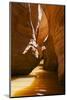 Slot Canyon at Lake Powell NRA, Utah-Zandria Muench Beraldo-Mounted Photographic Print