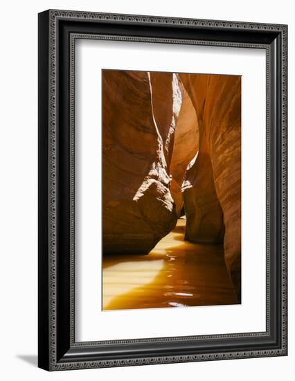 Slot Canyon at Lake Powell NRA, Utah-Zandria Muench Beraldo-Framed Photographic Print