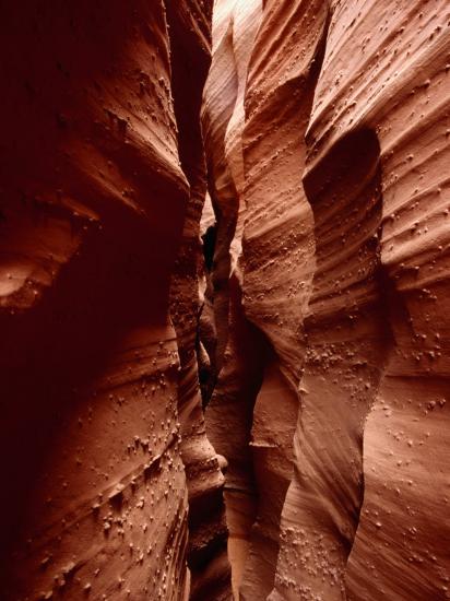 Slot Canyon of Spooky Gulch, Grand Staircase-Escalante National