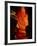 Slot Canyon, Upper Antelope Canyon, Arizona, USA-Michel Hersen-Framed Photographic Print