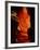 Slot Canyon, Upper Antelope Canyon, Arizona, USA-Michel Hersen-Framed Photographic Print