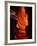 Slot Canyon, Upper Antelope Canyon, Arizona, USA-Michel Hersen-Framed Photographic Print