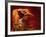 Slot Canyon, Upper Antelope Canyon, Page, Arizona, USA-Michel Hersen-Framed Photographic Print