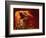 Slot Canyon, Upper Antelope Canyon, Page, Arizona, USA-Michel Hersen-Framed Photographic Print