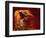 Slot Canyon, Upper Antelope Canyon, Page, Arizona, USA-Michel Hersen-Framed Photographic Print