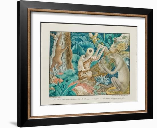 Sloths, 1881-Aloys Zotl-Framed Giclee Print