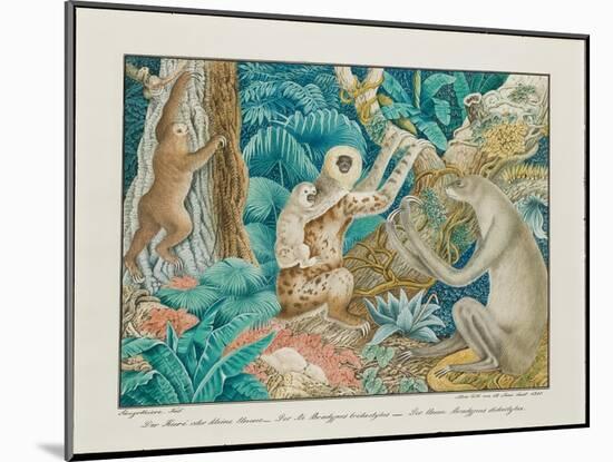 Sloths, 1881-Aloys Zotl-Mounted Giclee Print