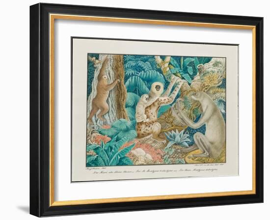 Sloths, 1881-Aloys Zotl-Framed Giclee Print