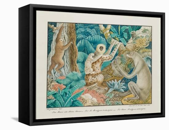 Sloths, 1881-Aloys Zotl-Framed Premier Image Canvas