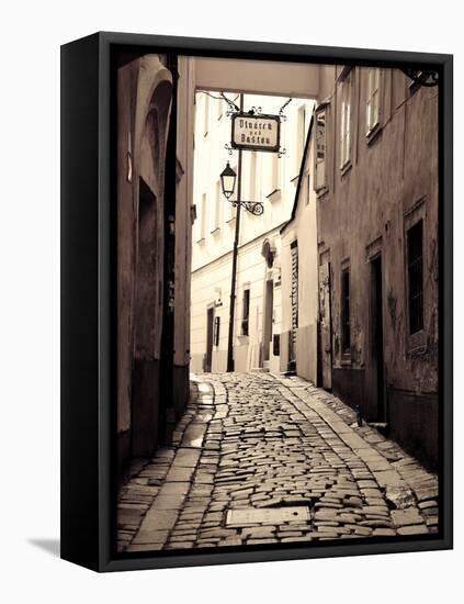 Slovakia, Bratislava, Old Town-Michele Falzone-Framed Premier Image Canvas