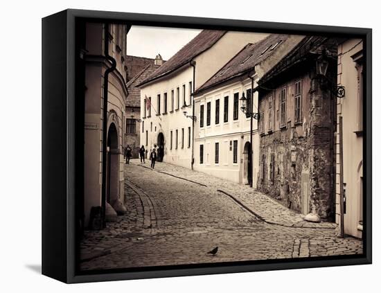 Slovakia, Bratislava, Old Town-Michele Falzone-Framed Premier Image Canvas