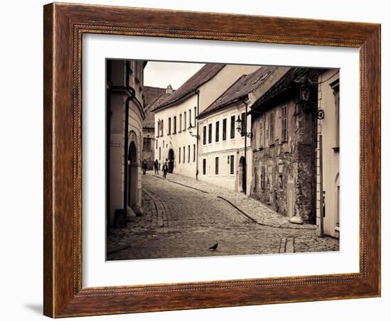 Slovakia, Bratislava, Old Town-Michele Falzone-Framed Photographic Print