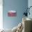 Slovakia Country Flag - Barnwood Painting-Lantern Press-Premium Giclee Print displayed on a wall