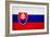 Slovakia Flag Design with Wood Patterning - Flags of the World Series-Philippe Hugonnard-Framed Art Print