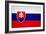 Slovakia Flag Design with Wood Patterning - Flags of the World Series-Philippe Hugonnard-Framed Art Print