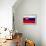 Slovakia Flag Design with Wood Patterning - Flags of the World Series-Philippe Hugonnard-Framed Stretched Canvas displayed on a wall
