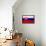 Slovakia Flag Design with Wood Patterning - Flags of the World Series-Philippe Hugonnard-Framed Stretched Canvas displayed on a wall