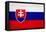 Slovakia Flag Design with Wood Patterning - Flags of the World Series-Philippe Hugonnard-Framed Stretched Canvas