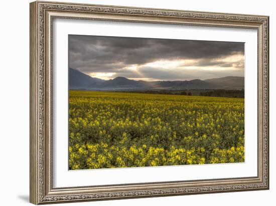 Slovakia-Maciej Duczynski-Framed Photographic Print