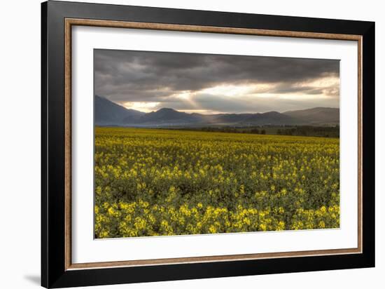 Slovakia-Maciej Duczynski-Framed Photographic Print