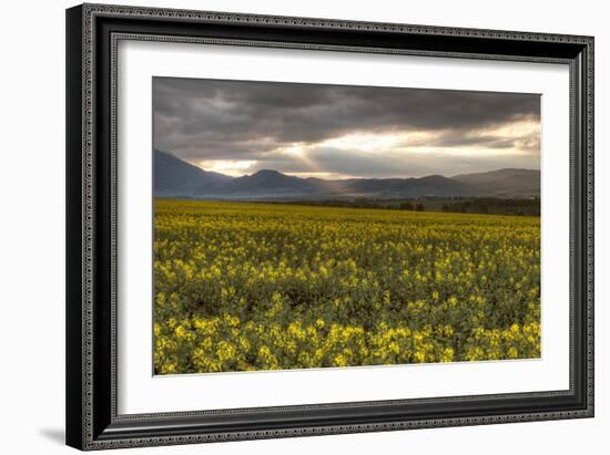 Slovakia-Maciej Duczynski-Framed Photographic Print