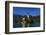 Slovenia, Gorenjska, Upper Carniola, Bled, Lake Bled-Udo Siebig-Framed Photographic Print