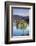 Slovenia, Julian Alps, Upper Carniola-Ken Scicluna-Framed Photographic Print