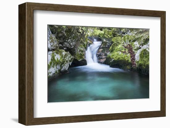 Slovenia. Small stream of pure mountain water cascades down mossy rocks.-Brenda Tharp-Framed Photographic Print