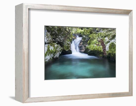 Slovenia. Small stream of pure mountain water cascades down mossy rocks.-Brenda Tharp-Framed Photographic Print