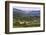 Slovenia Wine Region Countryside, Goriska Brda (Gorizia Hills), Slovenia, Europe-Matthew Williams-Ellis-Framed Photographic Print