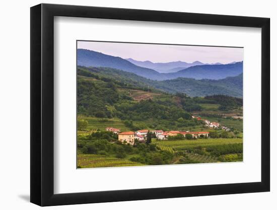 Slovenia Wine Region Countryside, Goriska Brda (Gorizia Hills), Slovenia, Europe-Matthew Williams-Ellis-Framed Photographic Print