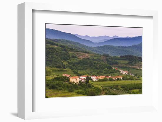 Slovenia Wine Region Countryside, Goriska Brda (Gorizia Hills), Slovenia, Europe-Matthew Williams-Ellis-Framed Photographic Print