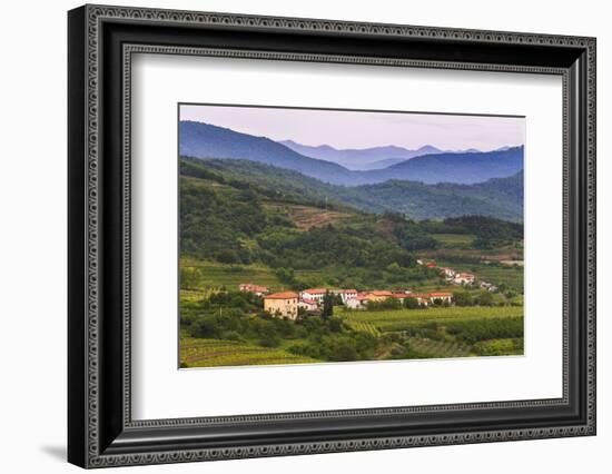 Slovenia Wine Region Countryside, Goriska Brda (Gorizia Hills), Slovenia, Europe-Matthew Williams-Ellis-Framed Photographic Print