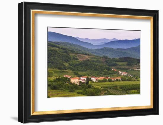 Slovenia Wine Region Countryside, Goriska Brda (Gorizia Hills), Slovenia, Europe-Matthew Williams-Ellis-Framed Photographic Print