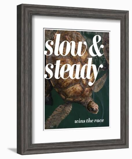 Slow and Steady-Lisa S. Engelbrecht-Framed Photographic Print