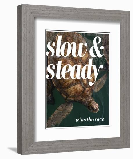 Slow and Steady-Lisa S. Engelbrecht-Framed Photographic Print