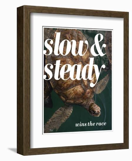 Slow and Steady-Lisa S. Engelbrecht-Framed Photographic Print