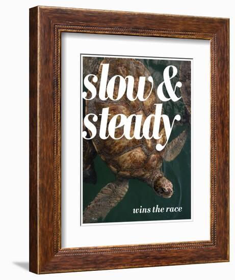 Slow and Steady-Lisa S. Engelbrecht-Framed Photographic Print