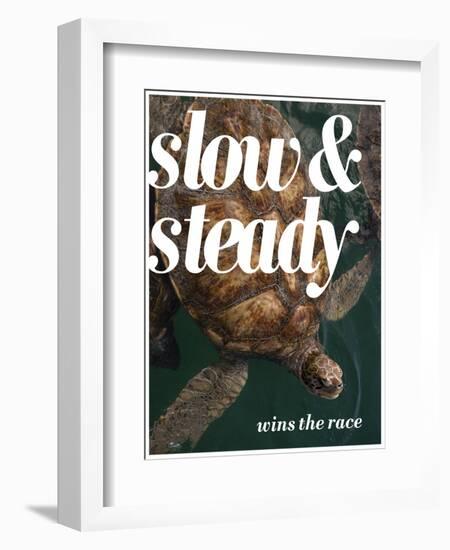 Slow and Steady-Lisa S. Engelbrecht-Framed Photographic Print