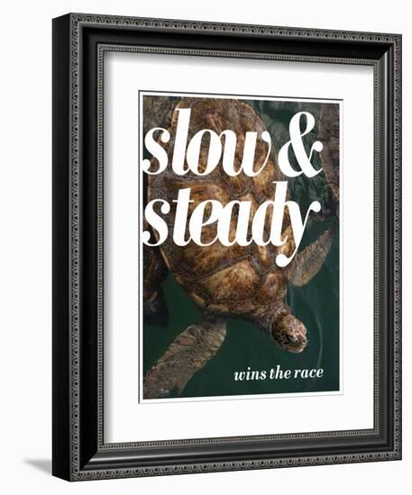 Slow and Steady-Lisa S. Engelbrecht-Framed Photographic Print