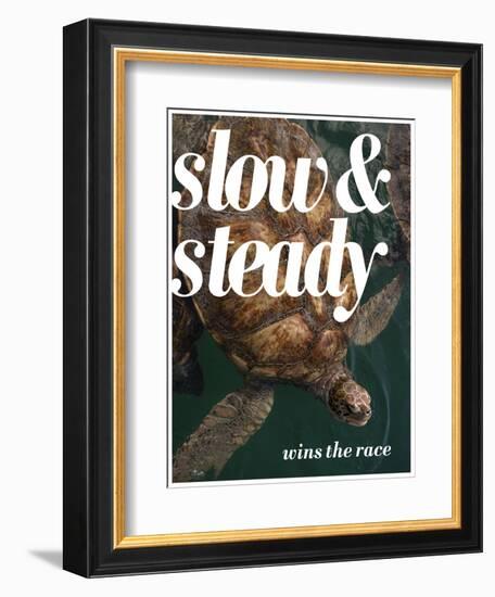 Slow and Steady-Lisa S. Engelbrecht-Framed Photographic Print