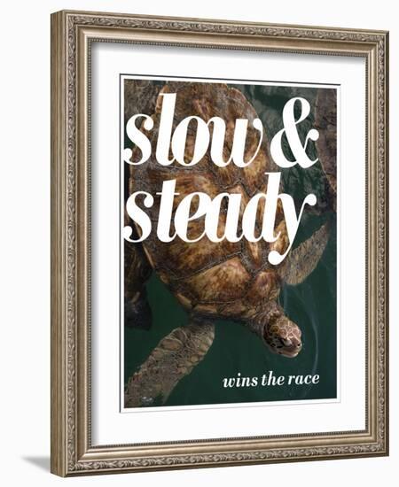 Slow and Steady-Lisa S. Engelbrecht-Framed Photographic Print