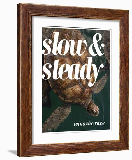 Slow and Steady-Lisa S. Engelbrecht-Framed Photographic Print