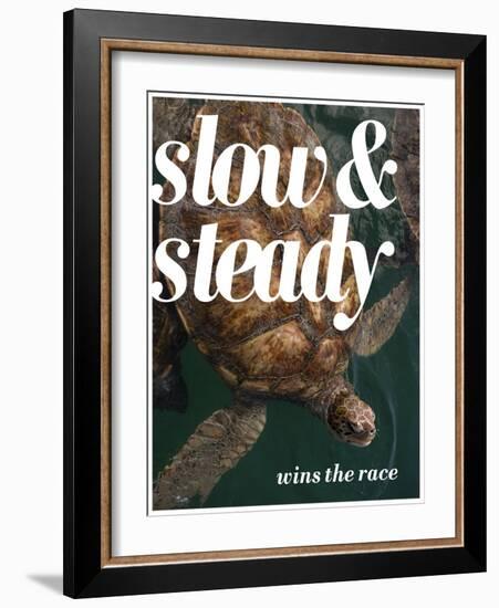 Slow and Steady-Lisa S. Engelbrecht-Framed Photographic Print
