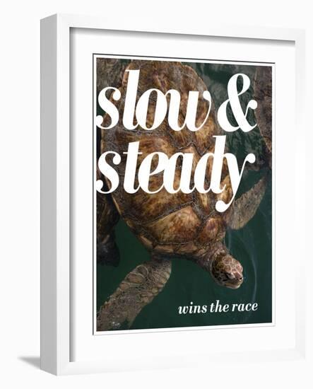 Slow and Steady-Lisa S. Engelbrecht-Framed Photographic Print